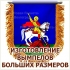 Большой вымпел с логотипом на заказ